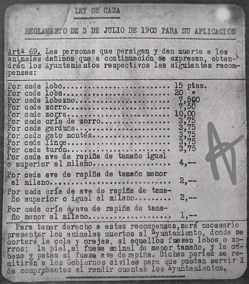 Alimañas en el artículo 39 de la ley de caza de 1903. Recompensas.